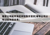 哪家公司能开发区块链数字货币[哪家公司公布过区块链业务]